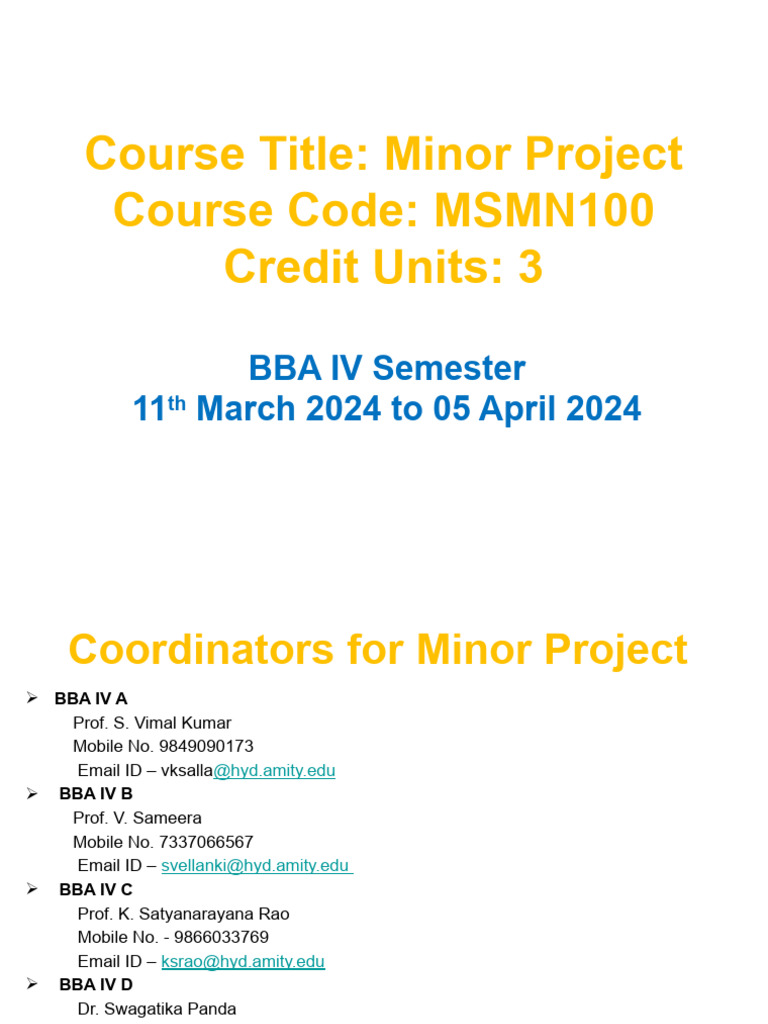 BBA IV Minor Project Guidelines 2024 | PDF