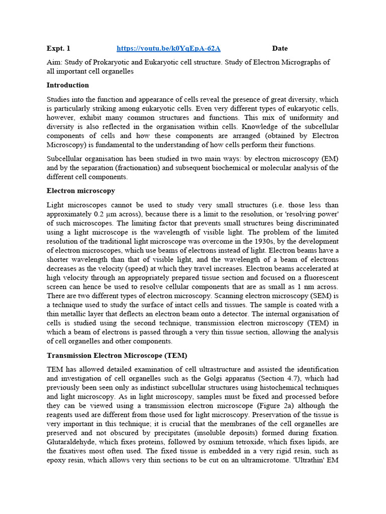 Expt 1 Electron Micrographs | PDF | Scanning Electron Microscope ...