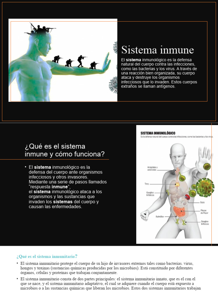 Sistema Inmune | PDF | Sistema inmune | Linfocitos