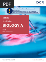 OCR A Level Biology Specification 2025 | PDF | Cell Membrane | Mitosis