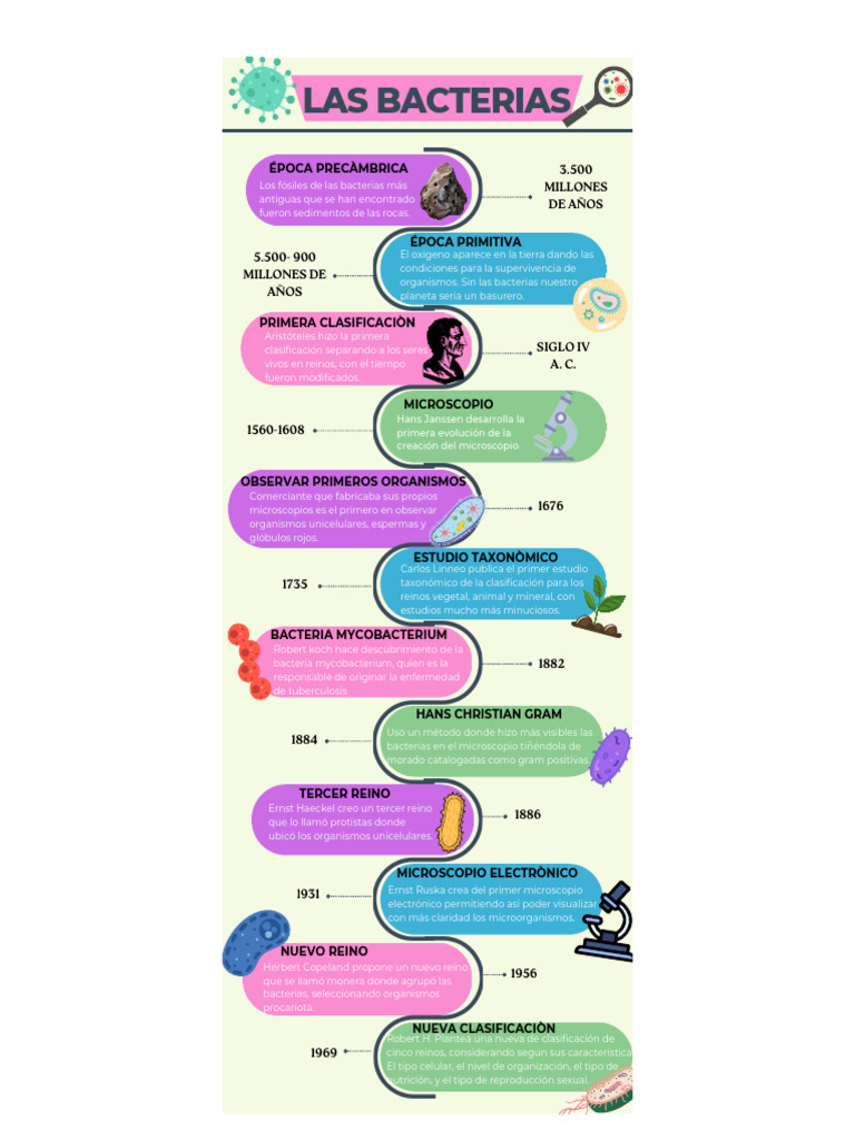Evolución y Clasificación de Bacterias | PDF | Las bacterias | Procariota