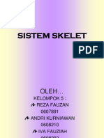 1 Sistem Skelet