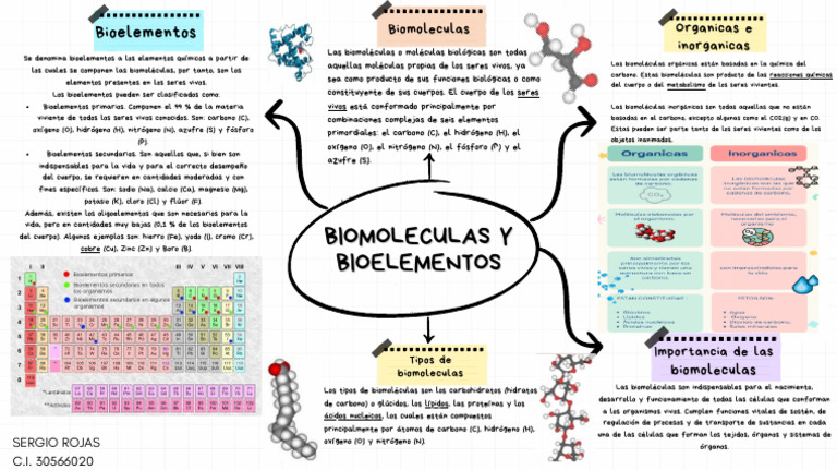 Biomoléculas y Bioelementos en Secundaria | PDF | Biomoléculas ...