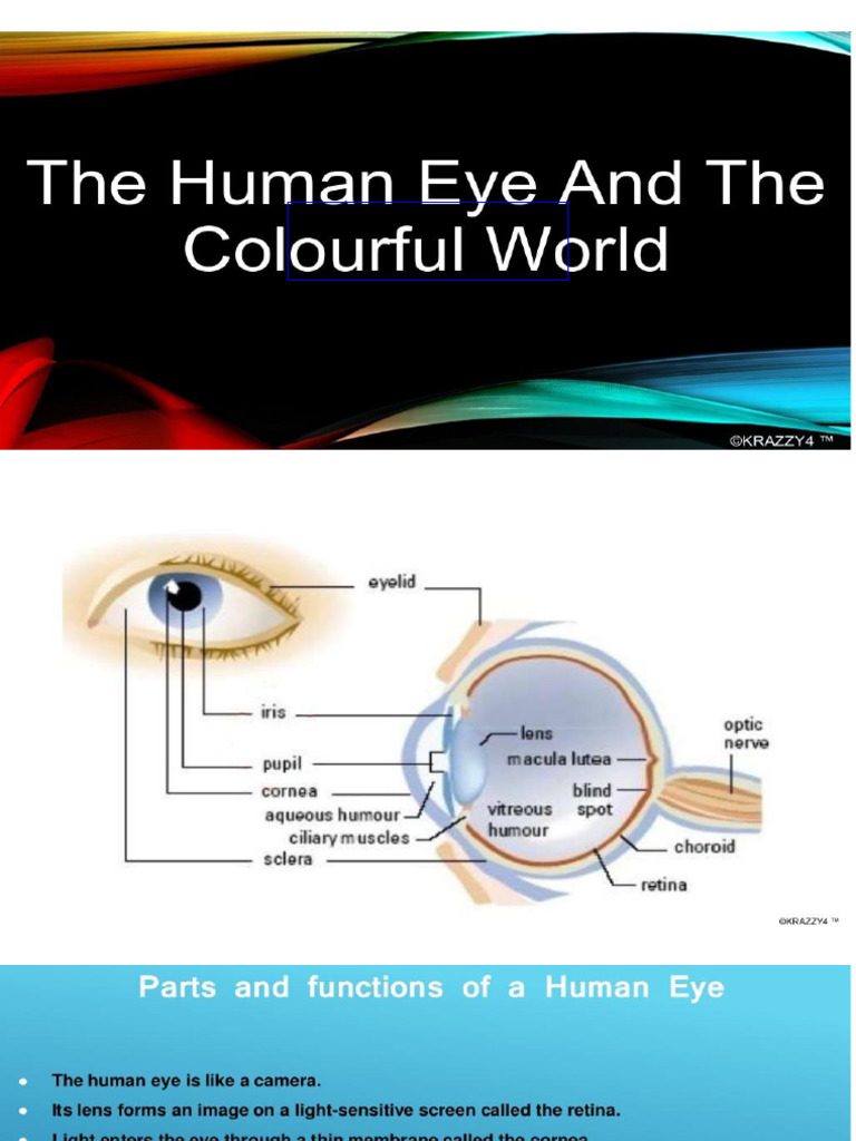11 Human Eye and The Colourful World 2 | PDF