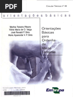 Orientacoes Basicas para Ordenha