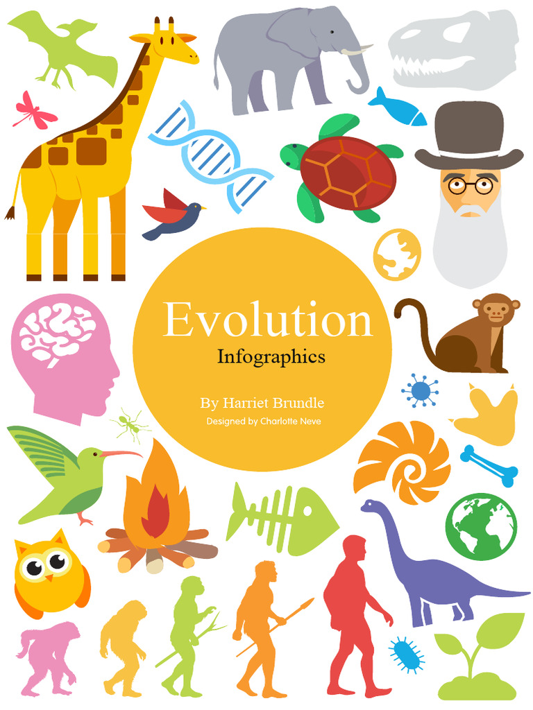 Understanding Evolution and Its Processes | PDF | Homo | Fossil