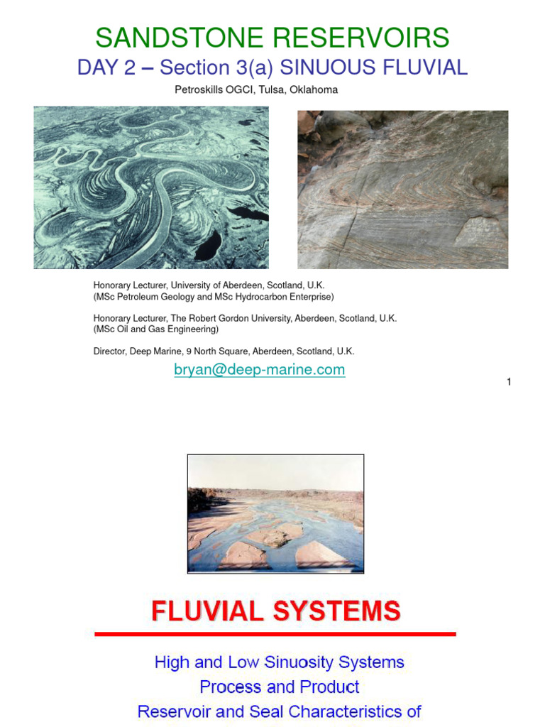 Sinuous Fluvial Channel Dynamics | PDF | Sedimentology | Aquatic Biomes