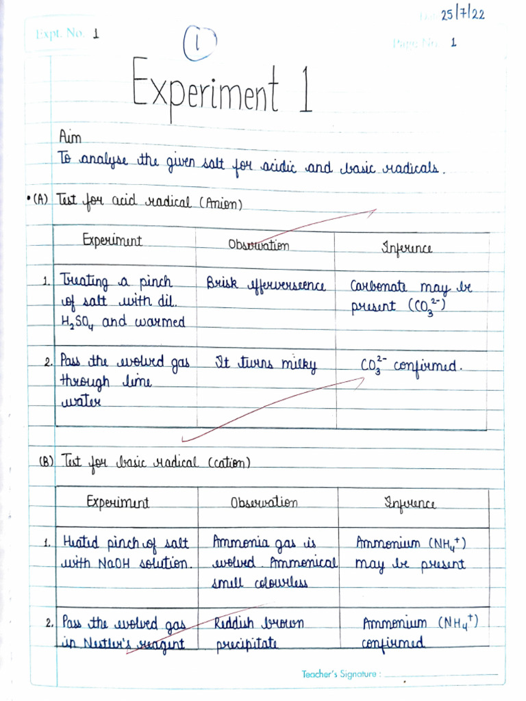All Practicals Pdf Pdf