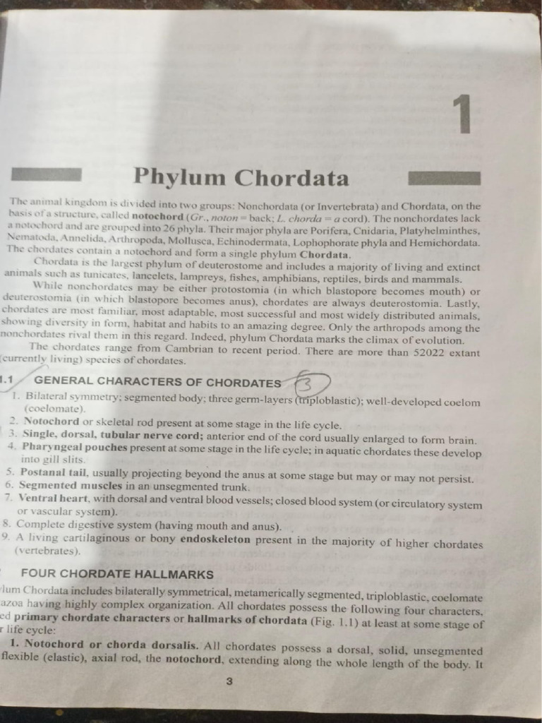 CHORDATES ANIMALS CLASSIFICATION MULTIPLE CHOICE FREE DOWNLOAD intelligence overview