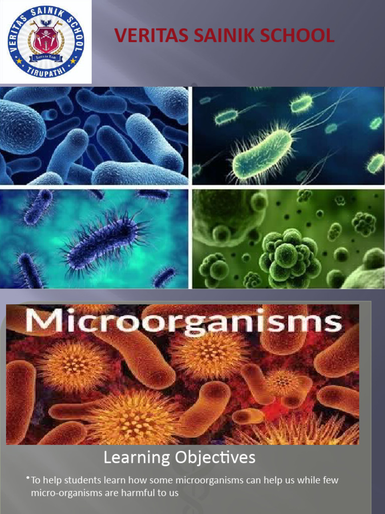 Understanding Microorganisms: Friends & Foes | PDF | Microorganism ...