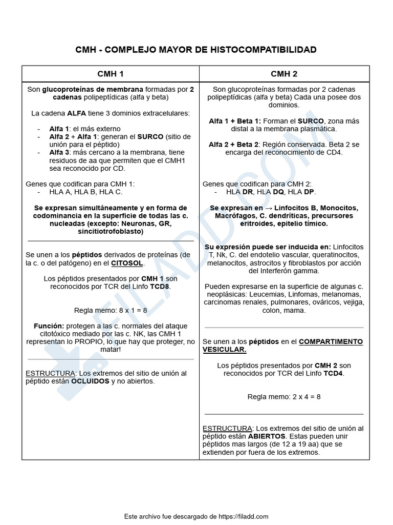 Estructura y Función del CMH | PDF | Antígeno | Linfocitos