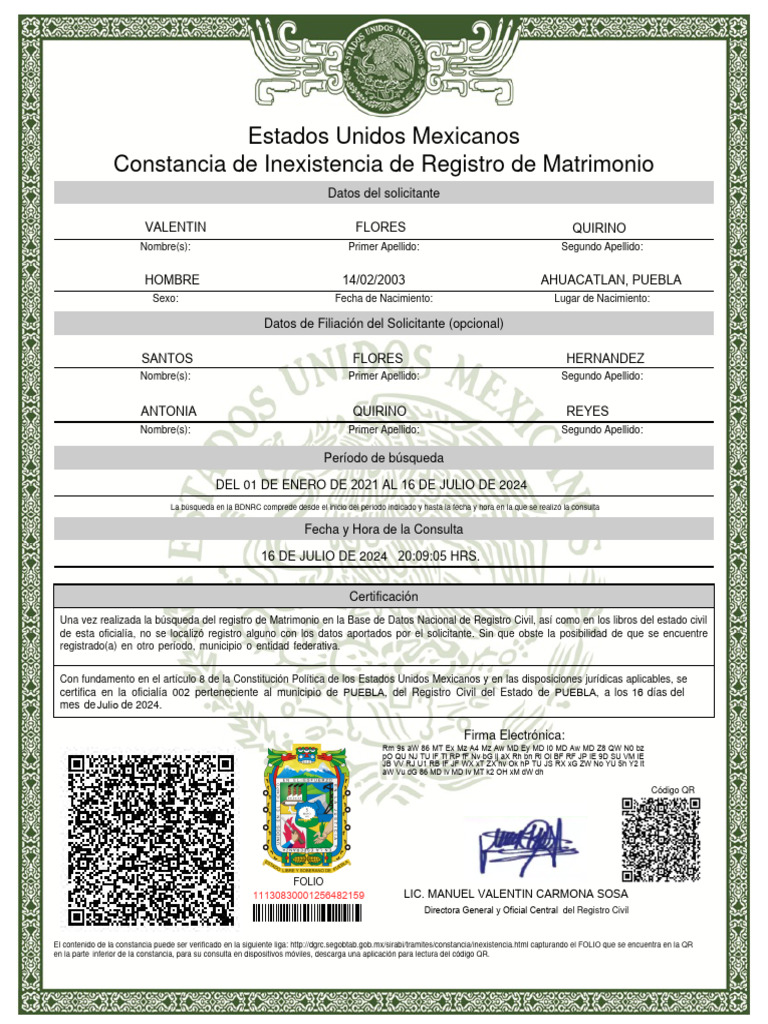 Inexistencia Mat Pue 160724 | PDF