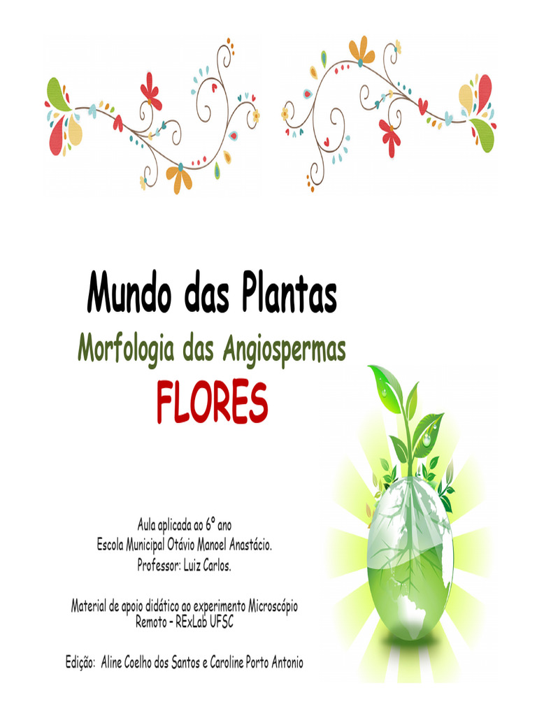 Estrutura e Função das Flores Angiospermas | PDF | Flores | Polinização