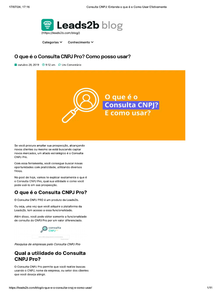 Consulta cnpj pro pdf