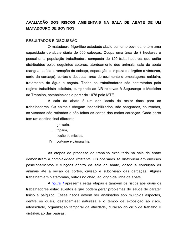 Riscos Ambientais em Matadouro de Bovinos | PDF | Calor | Ambiente natural