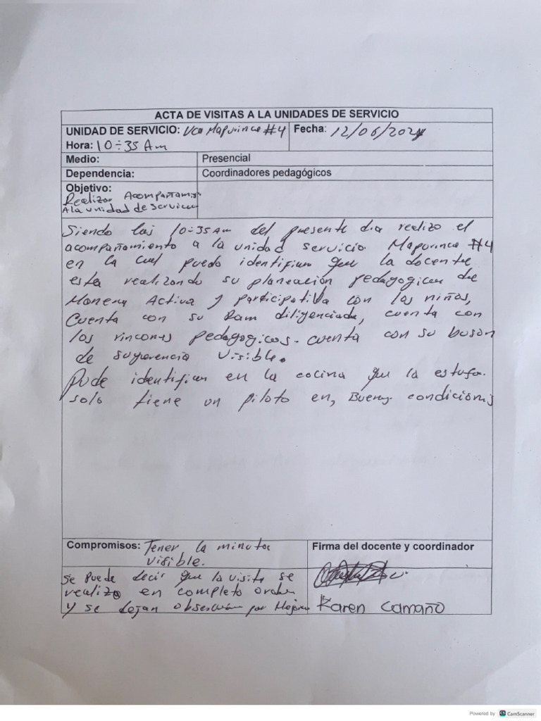 Acta de Acompañamiento Junio | PDF