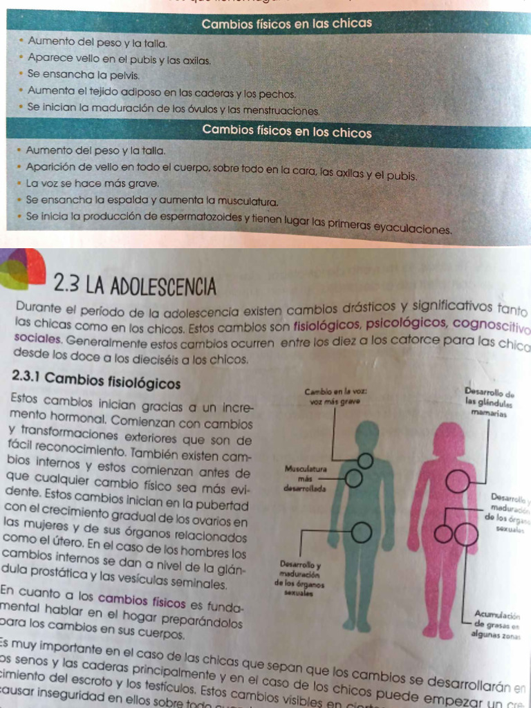 Cambios Físicos y Emocionales en la Adolescencia | PDF | Adolescencia ...