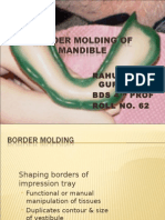 Border Molding