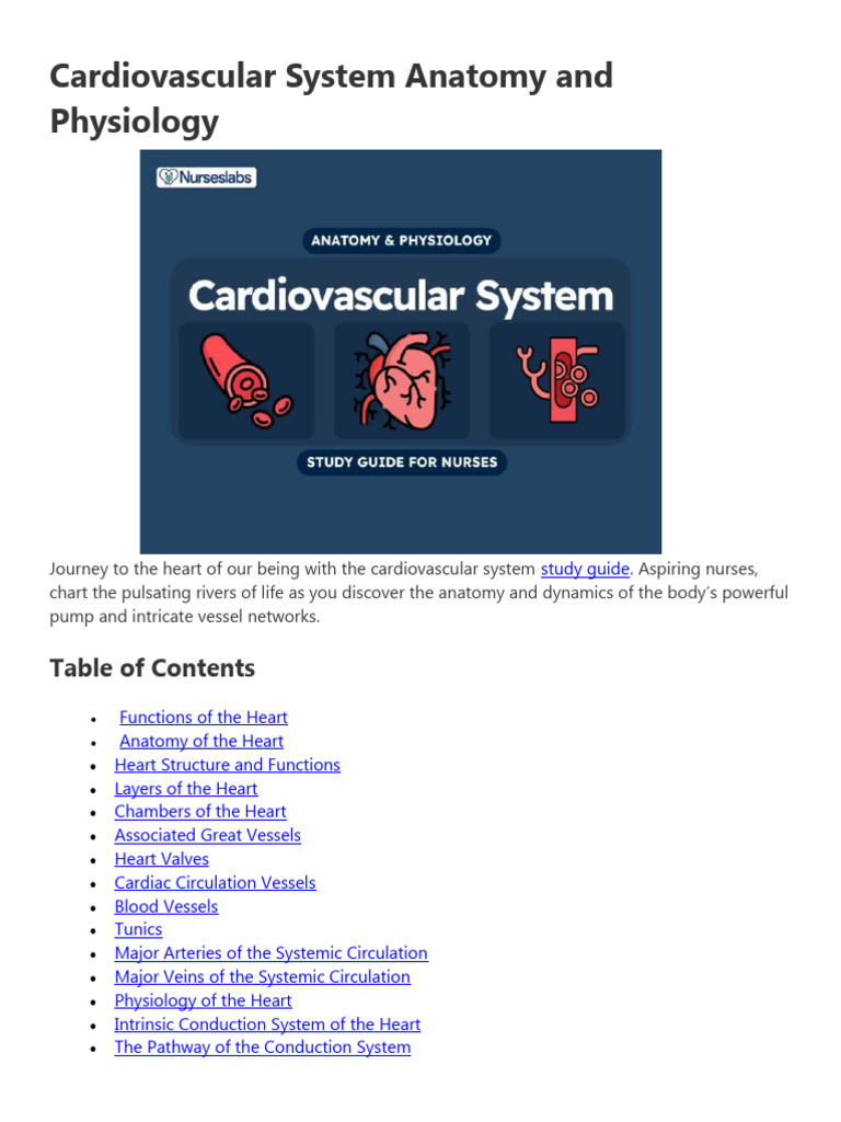 Cardiovascular System Anatomy and Physiology | PDF | Heart Valve | Heart