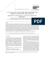 (Fe) - Hydrogenases in Green Algae