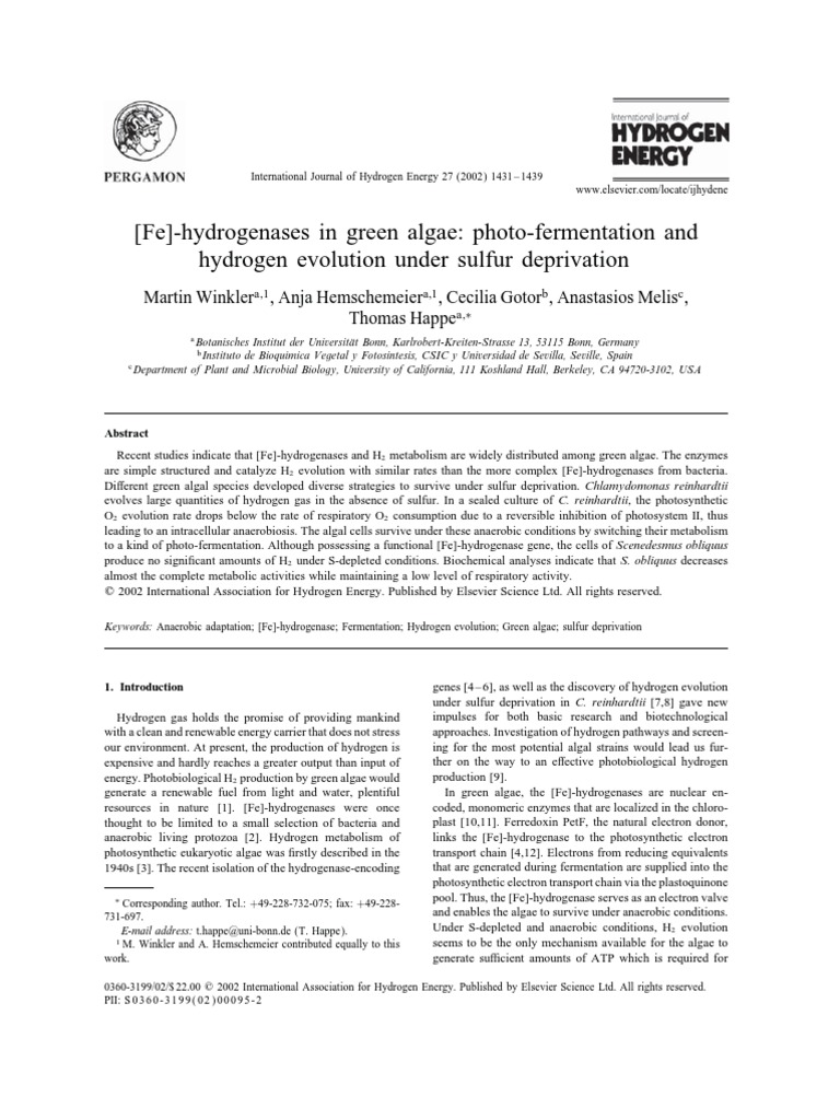 (Fe) Hydrogenases in Green Algae PDF Photosynthesis Cellular