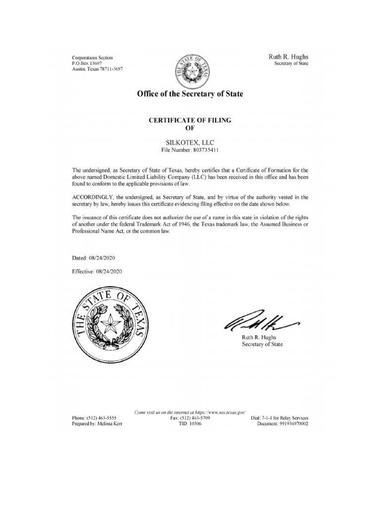 Business License | PDF