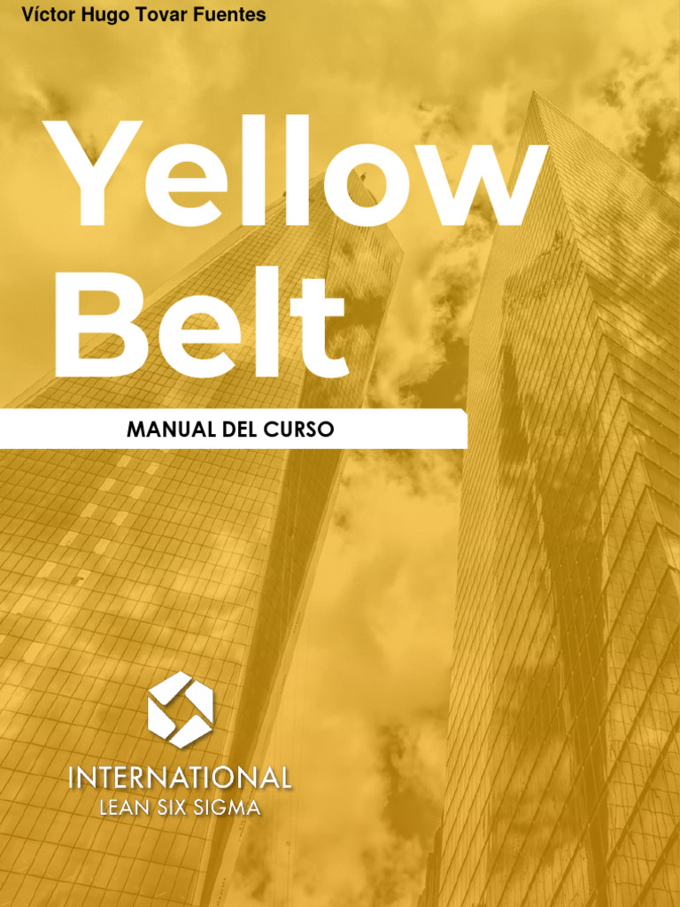 Manual de Curso Lean Six Sigma | PDF | Six Sigma | Planificación