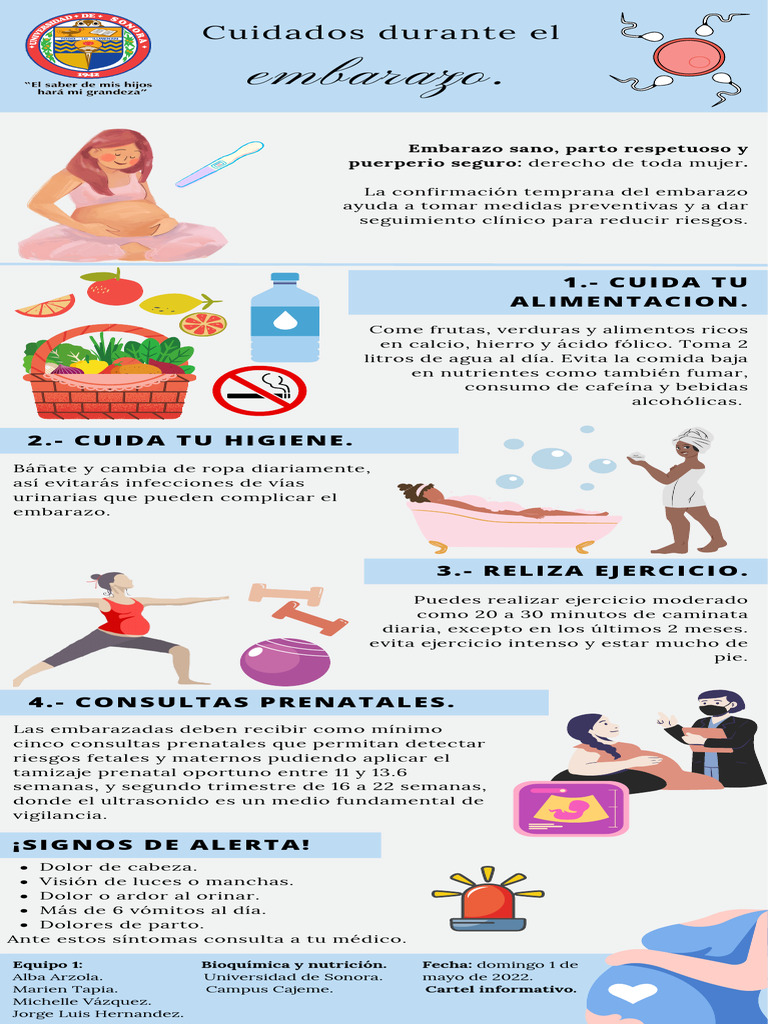 cuidados-durante-el-embarazo-cartel-pdf-el-embarazo-parto