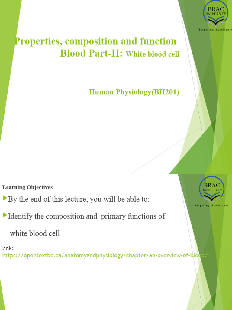 White Blood Cells Functions Types Pdf White Blood Cell Lymphocyte