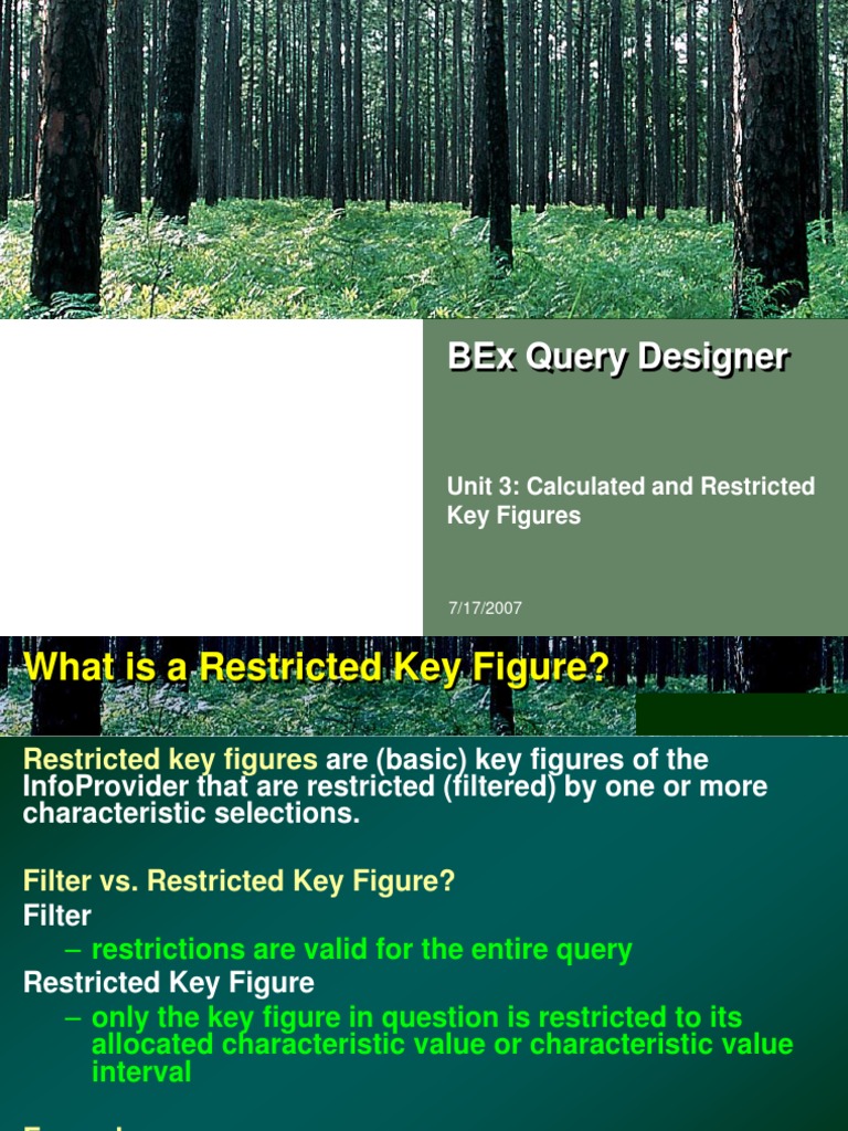 Unit 3 Calculated and Restricted KEy Figures | Download Free PDF ...