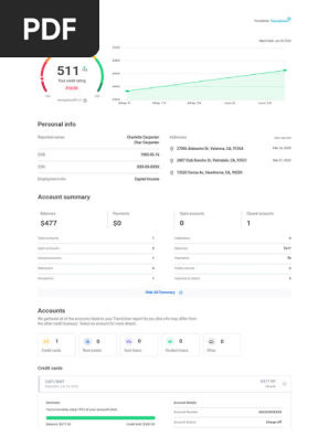 Credit Report