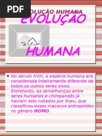 EvoluÇÃo Humana