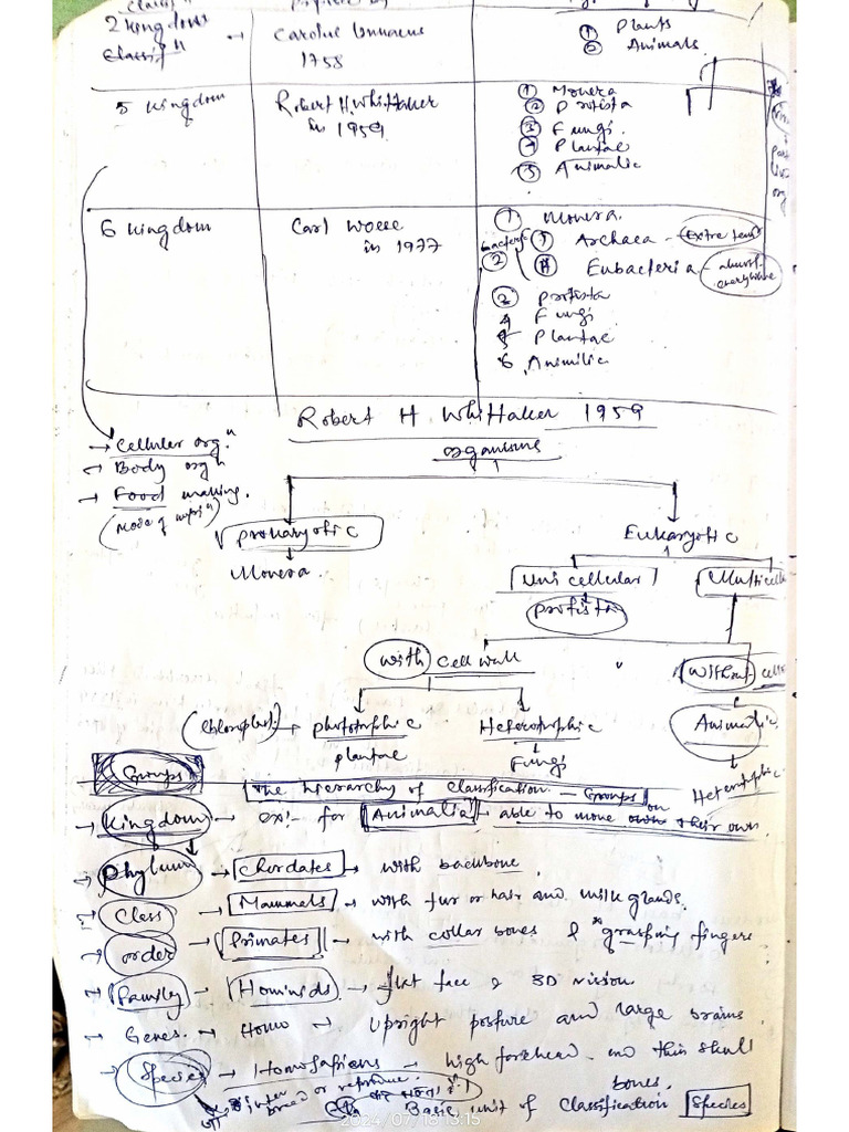 Written Notes | PDF