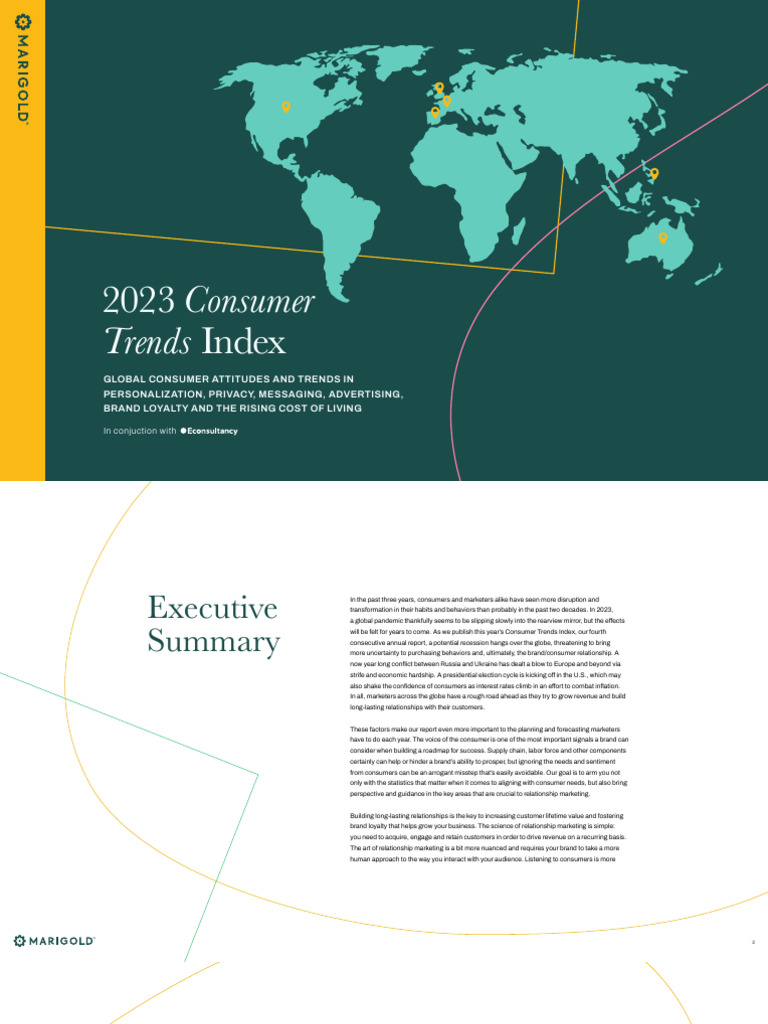 2023 Consumer Trends Insights Report | PDF | Cost Of Living | Brand