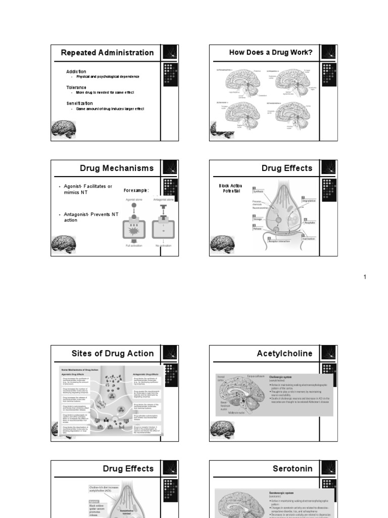 Drug Mechanisms and Addiction Effects | PDF | Neurogenesis | Reward System
