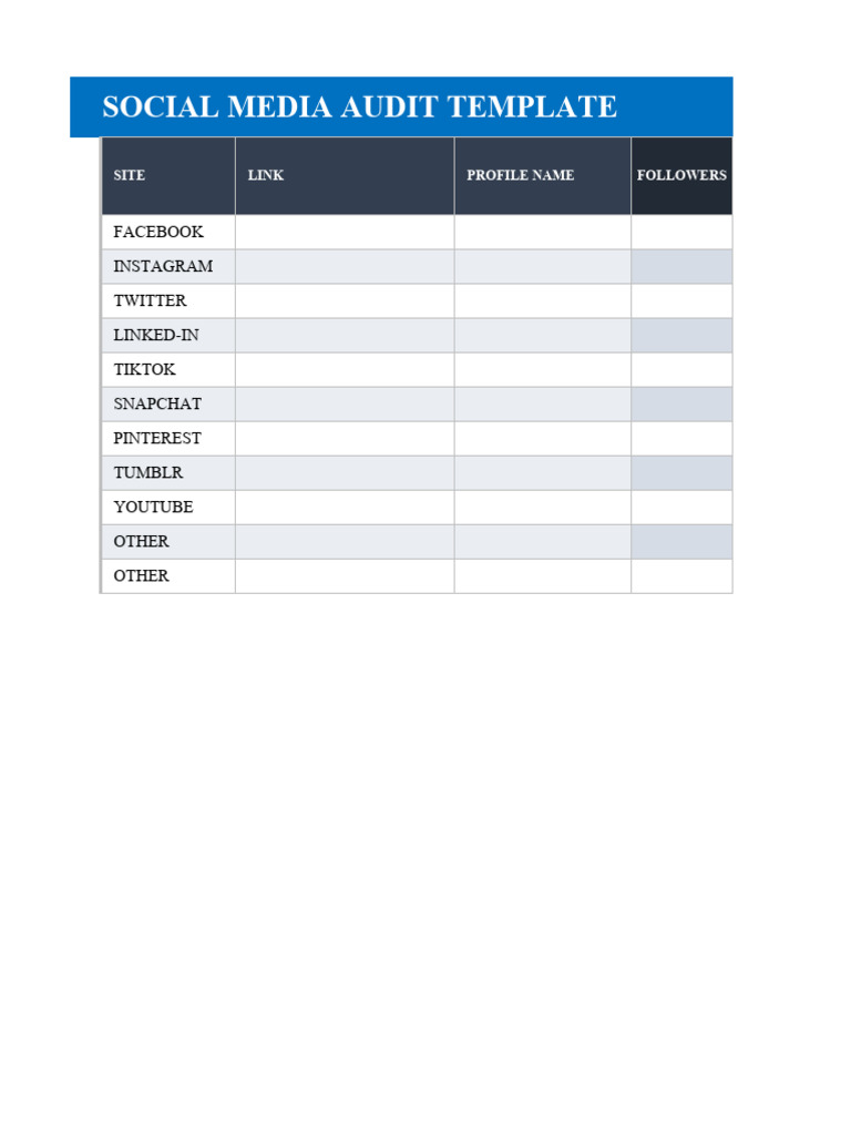Social Media Audit | PDF