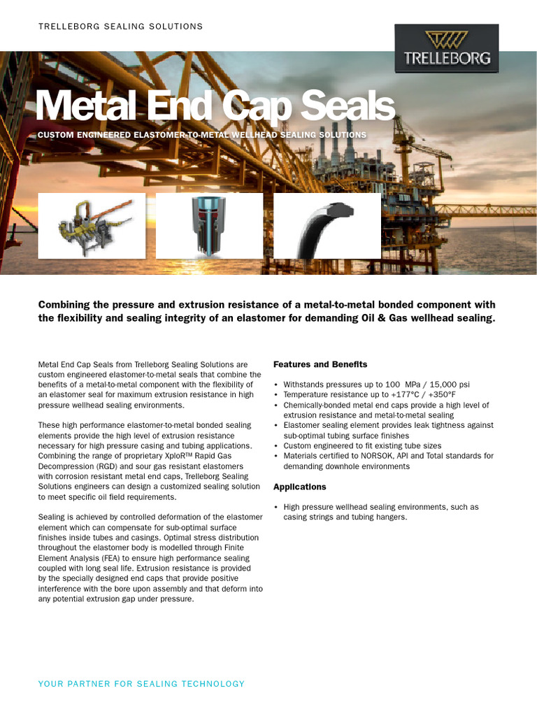 Metal End Cap Seals Download Free PDF Extrusion Pipe (Fluid