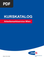 Anleitung Loga3 Freiwilligendienste Des | PDF