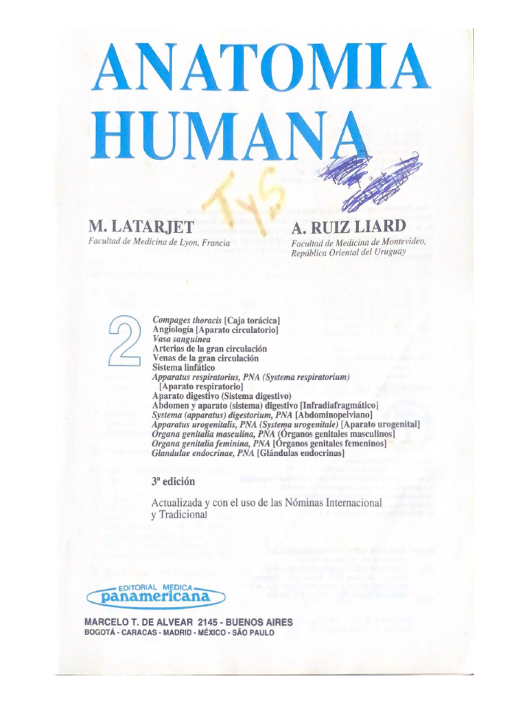 ANATOMIA PDF GRATIS visual data 8