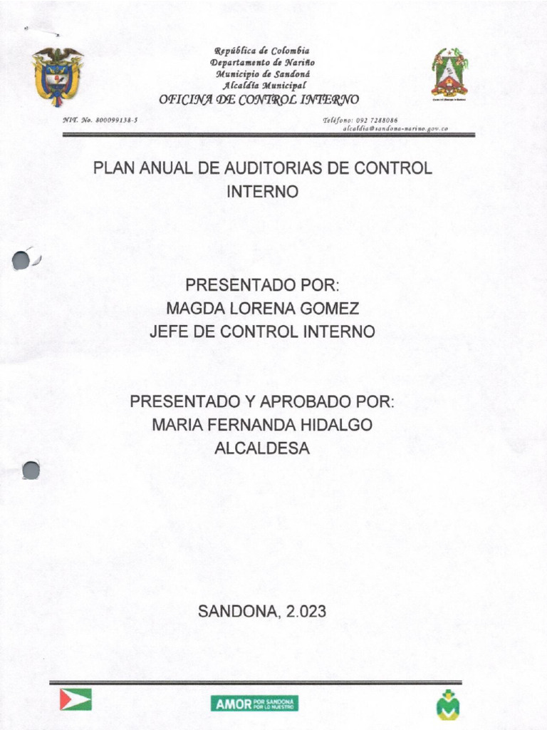 Plan Anual de Auditorias de Control Interno | PDF