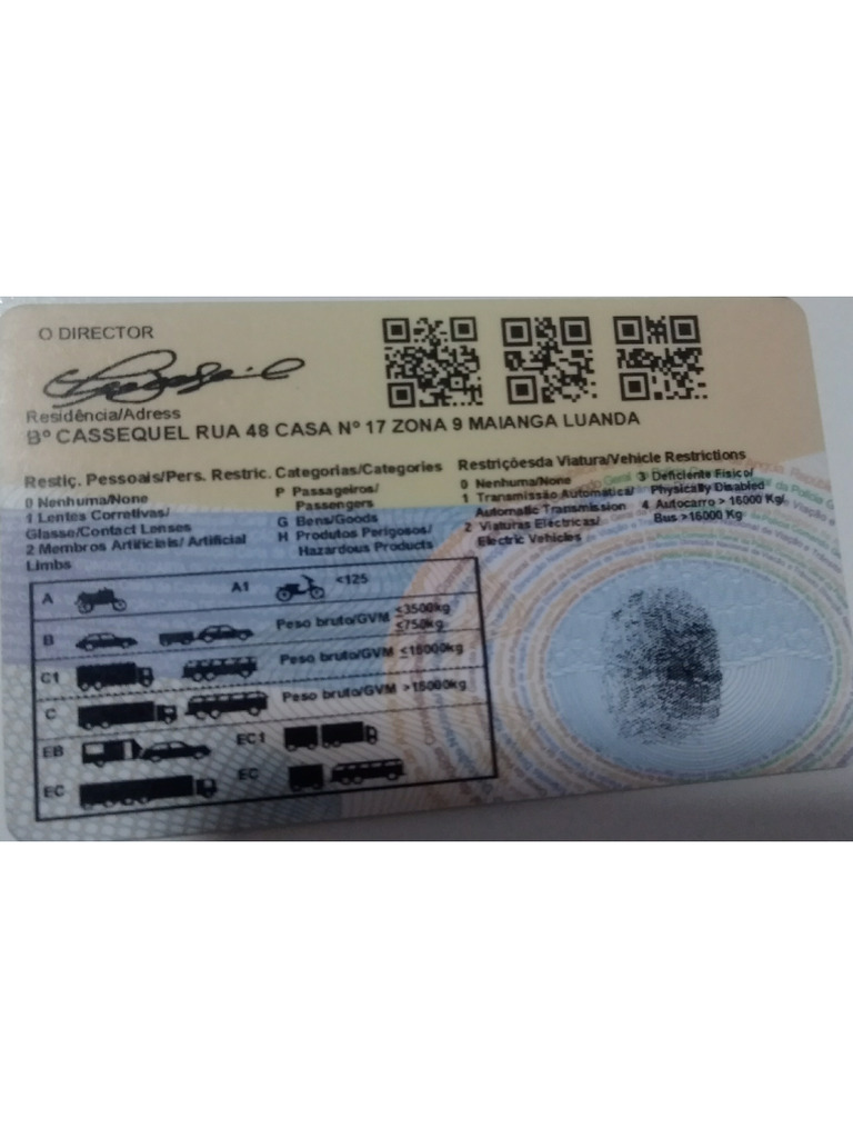 Carta De Condução António Pdf
