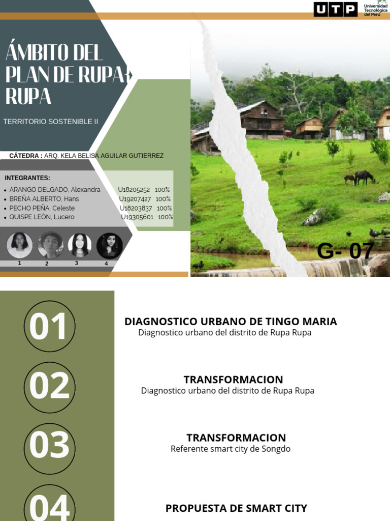 Diagnóstico Urbano de Rupa Rupa | PDF | Perú | Ciencias de la Tierra