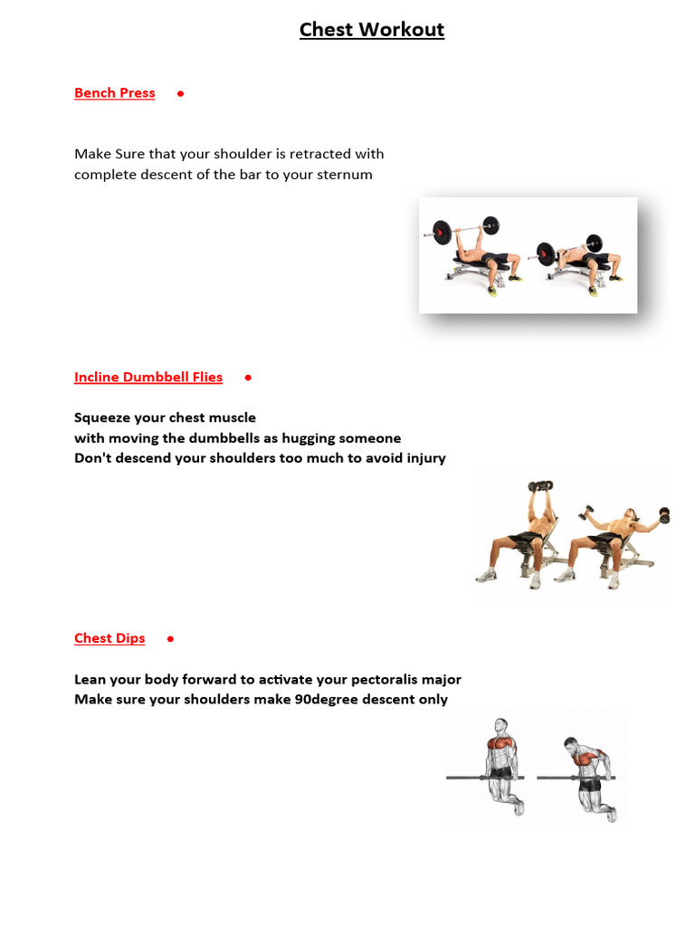 Chest Workout PDF