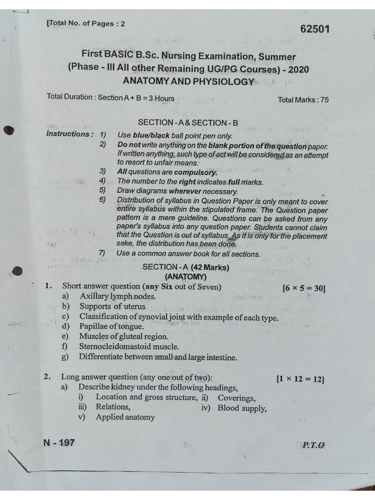 1st Yr Basic BSC | PDF | Nutrition | Diet & Nutrition