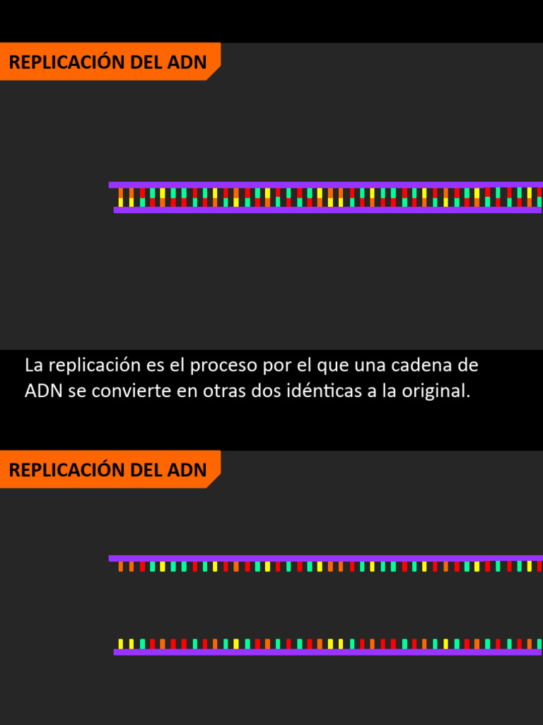 Replicación del ADN: Proceso y Enzimas | PDF | Replicación De Adn | Adn