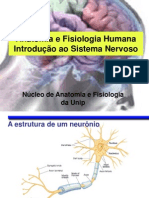 1 - Introdução Ao Sistema Nervoso