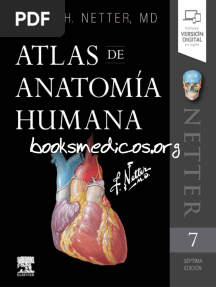 Netter Atlas de Anatomia Humana 7a Edicion