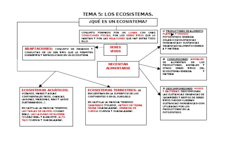 Mapa Conceptual de Ecosistemas | PDF