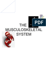 The Musculo Skeletal System