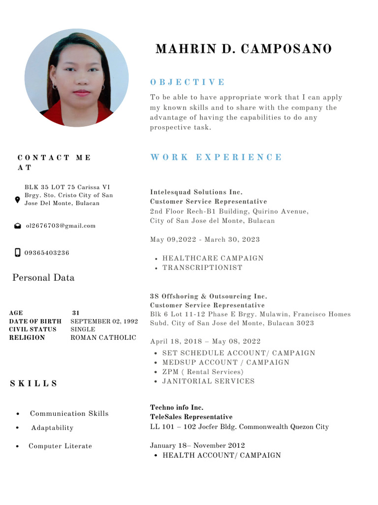 Professional Experience and Skills Summary | PDF | Outsourcing ...
